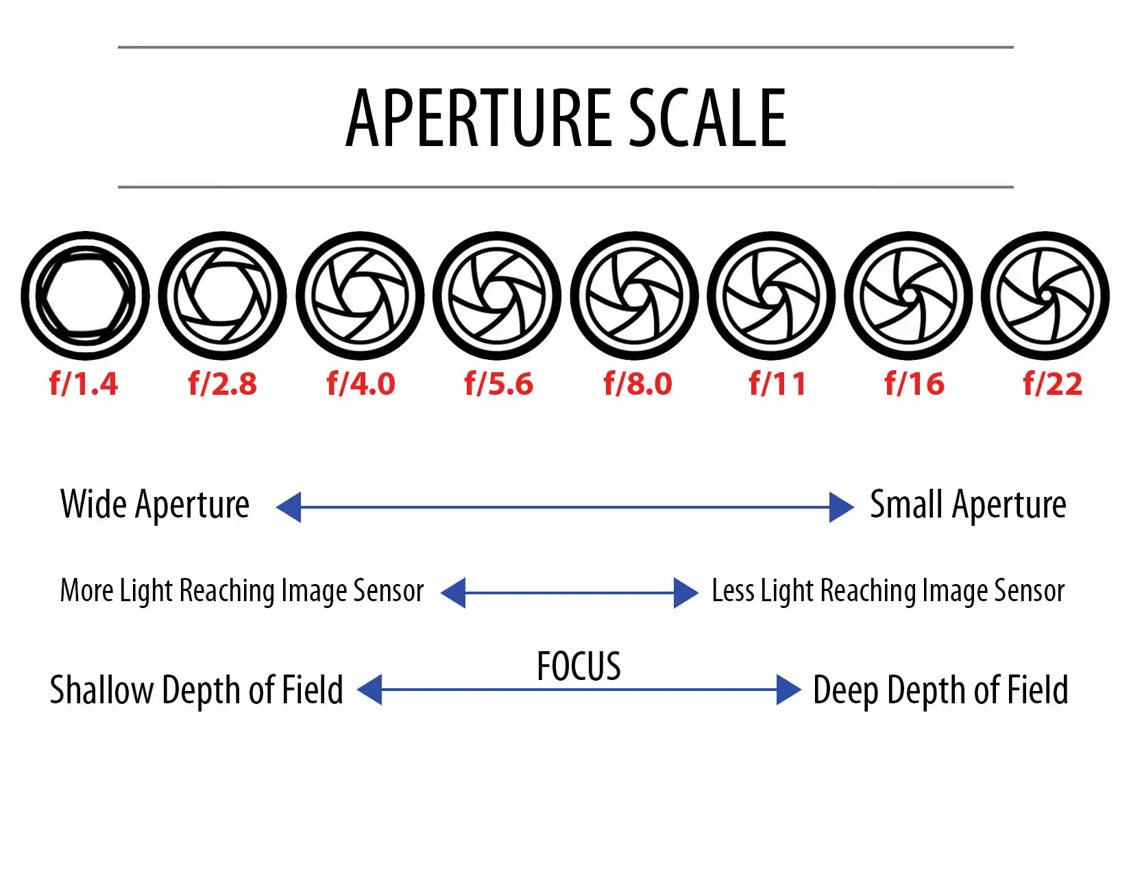 Understanding Aperture in 5 Easy Steps