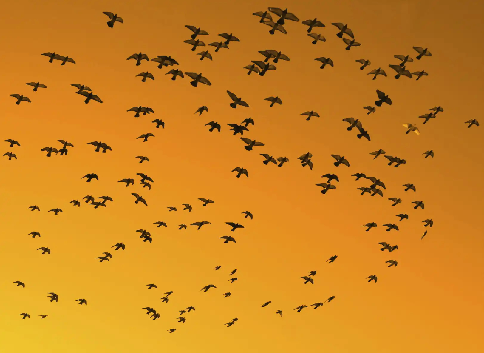 iStock 000000825091 Medium
