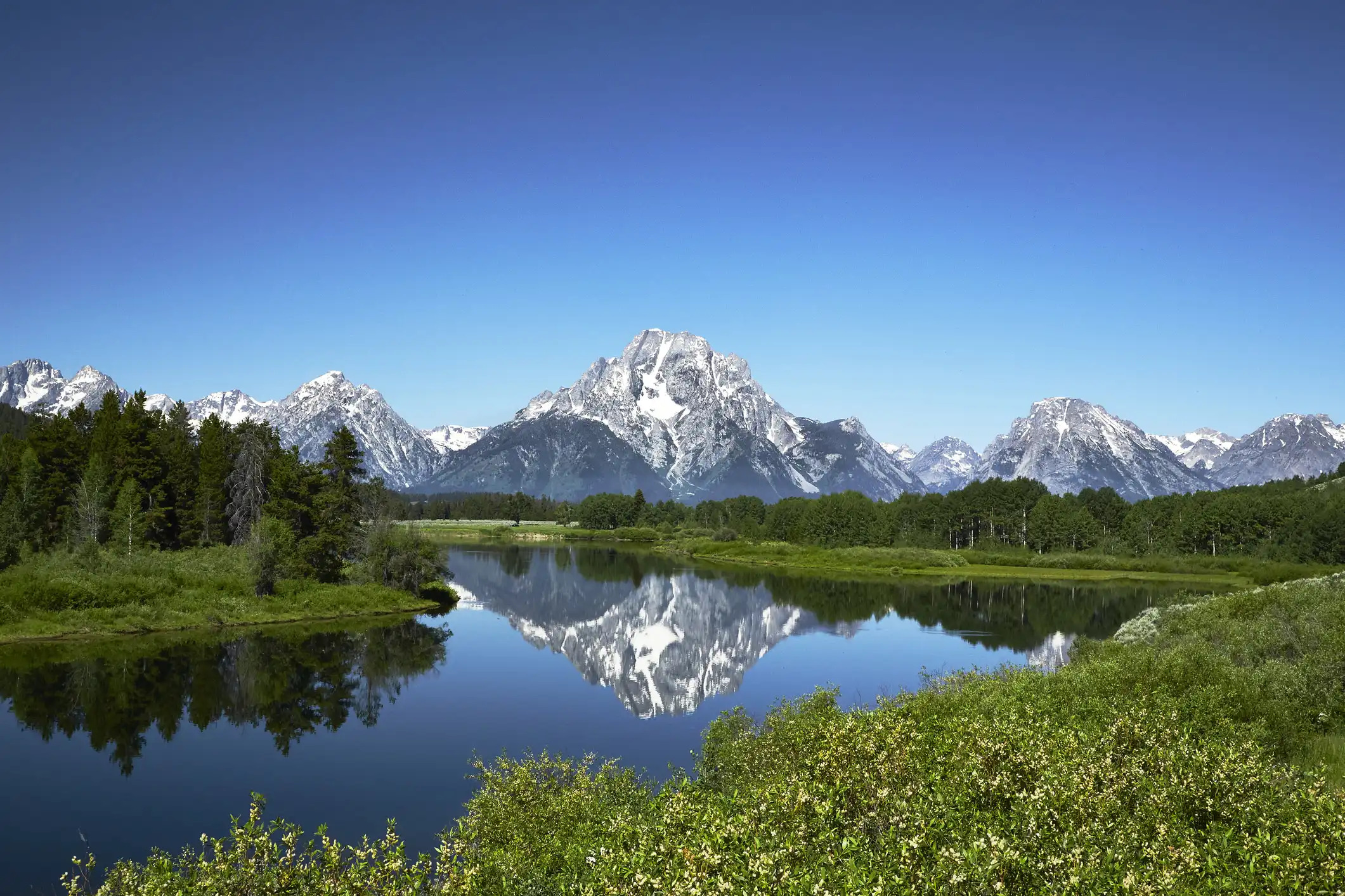 iStock-594040422.jpg