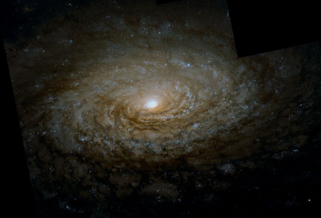 M63 NGC 5055