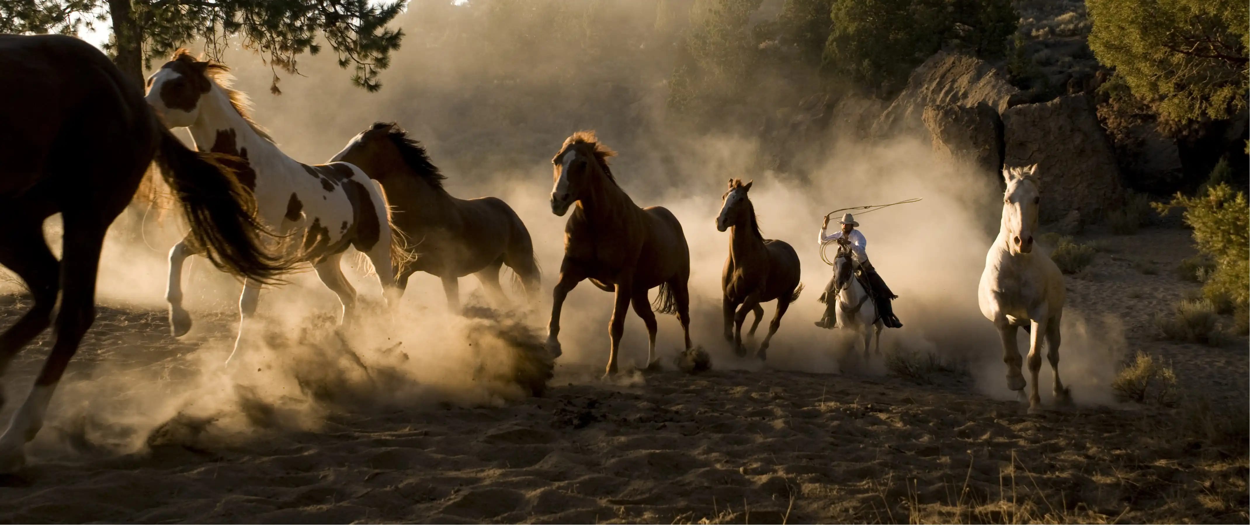 iStock 108203914