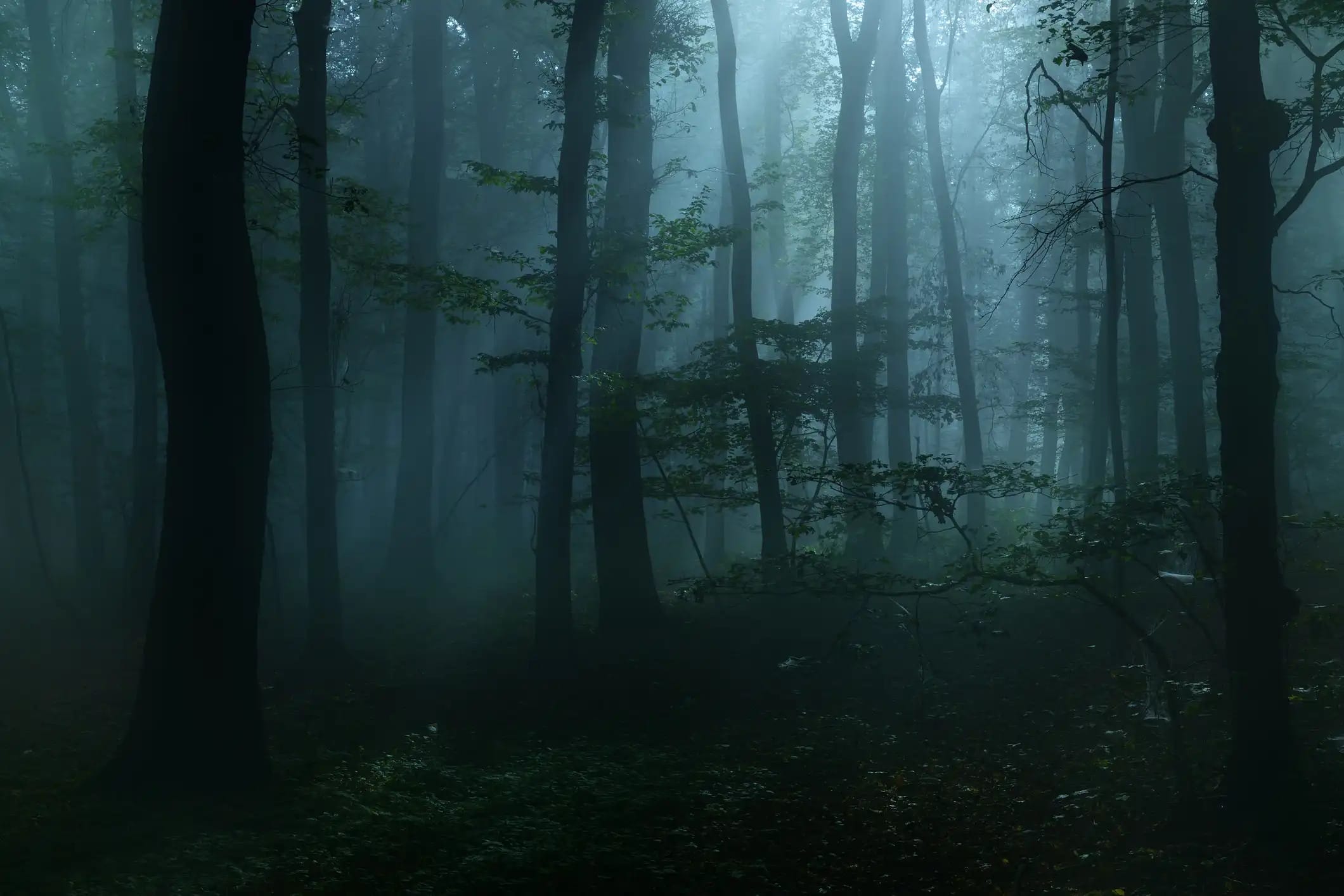 iStock 532523359