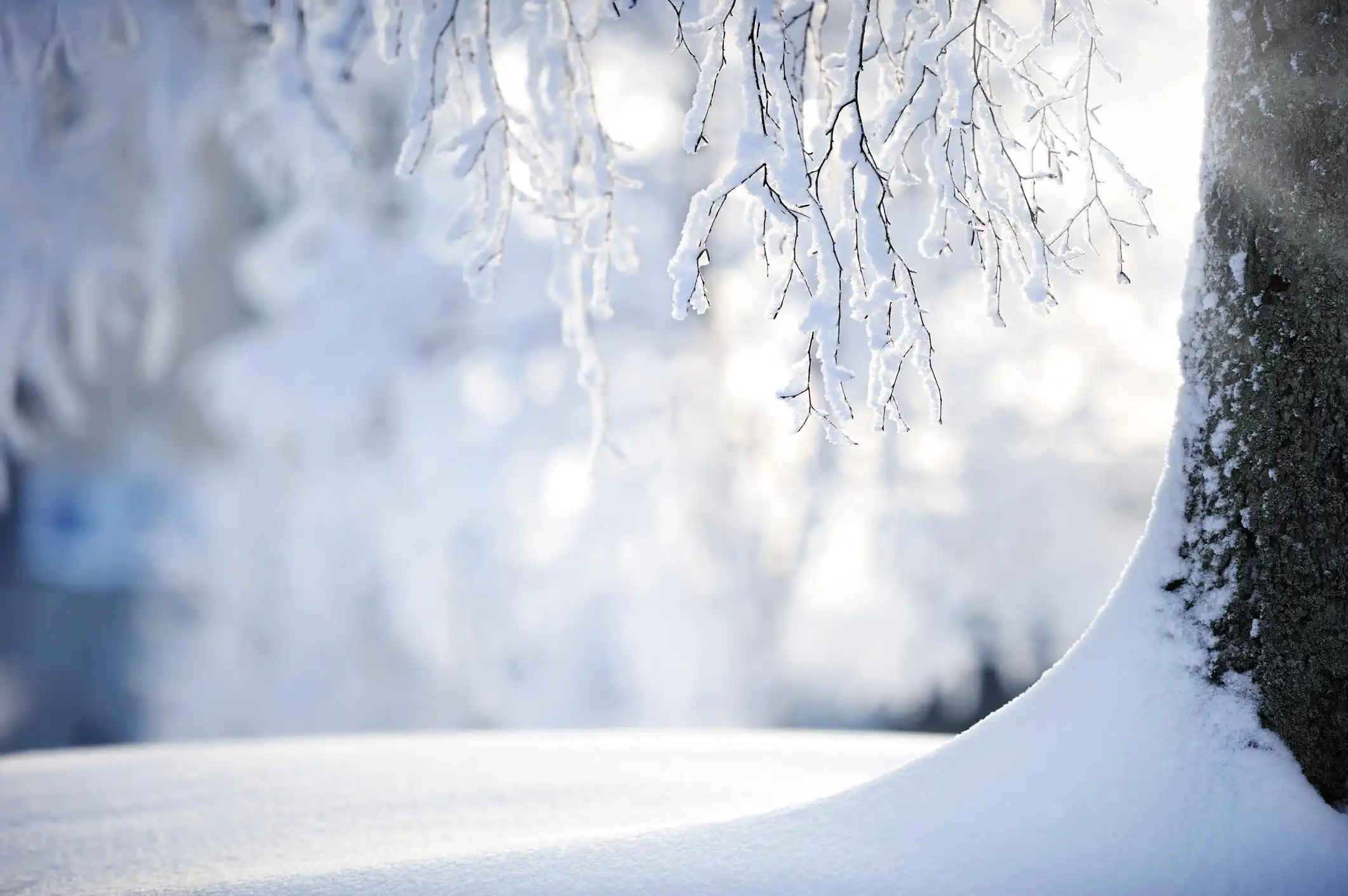 iStock 185326122
