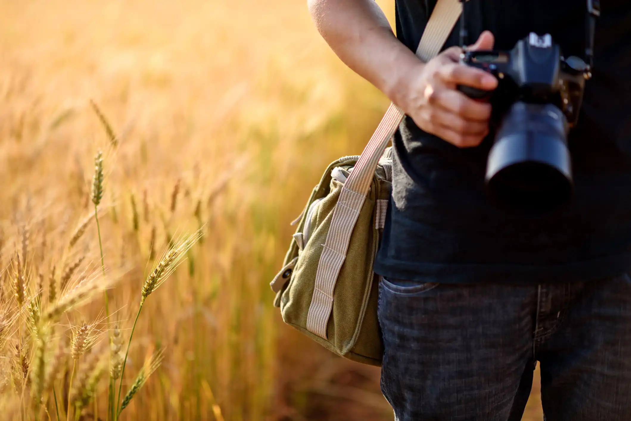 12 Simple But Impactful Tips for New Photographers