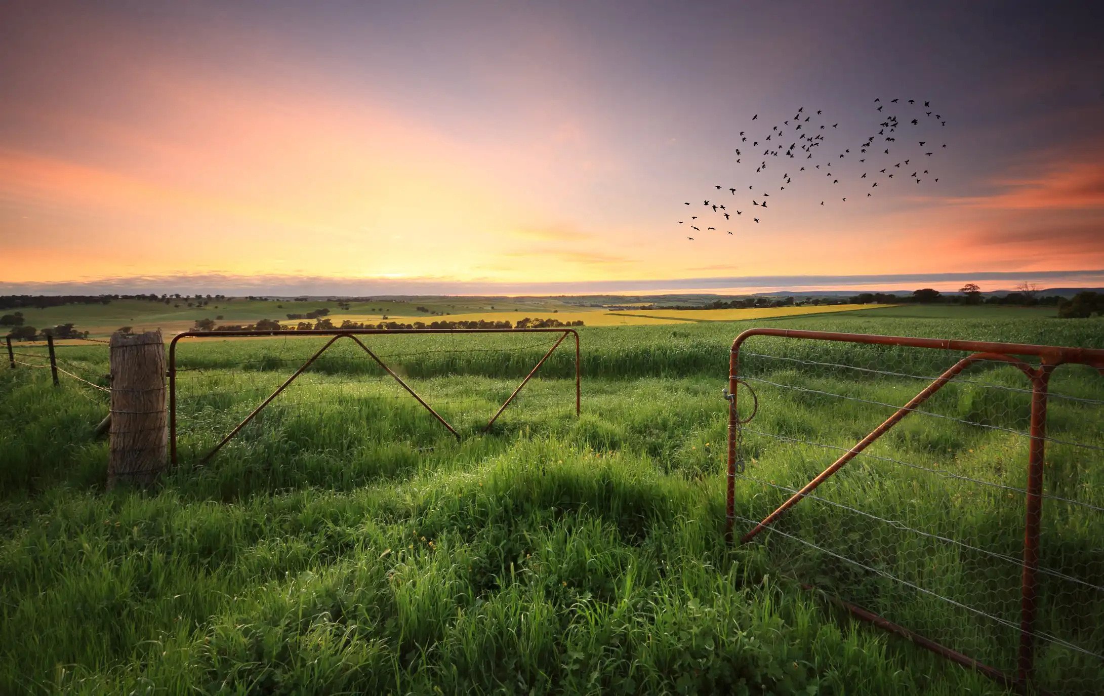 How to Get the Most Out of Your Wide-Angle Lens