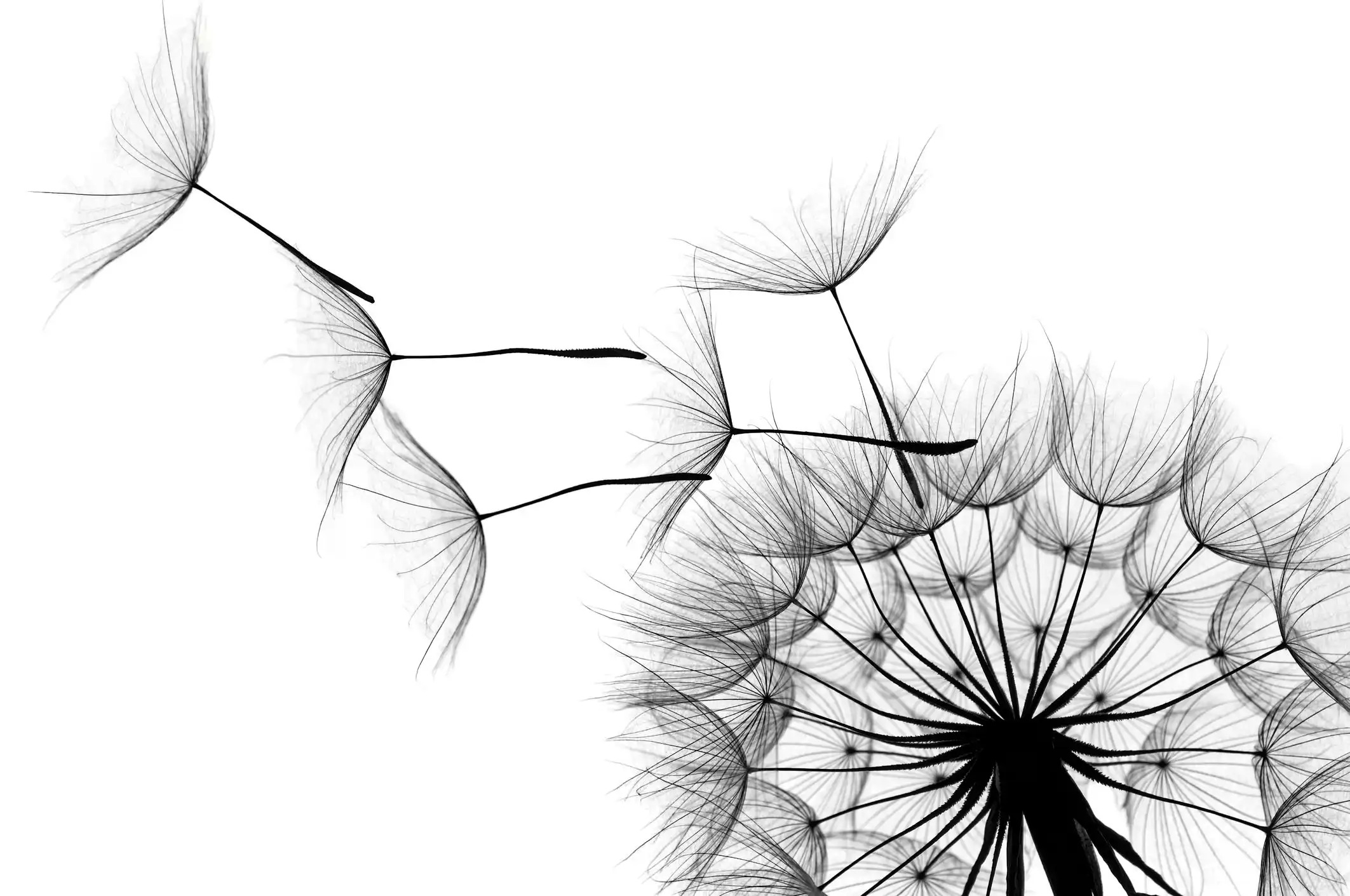 iStock 184321485