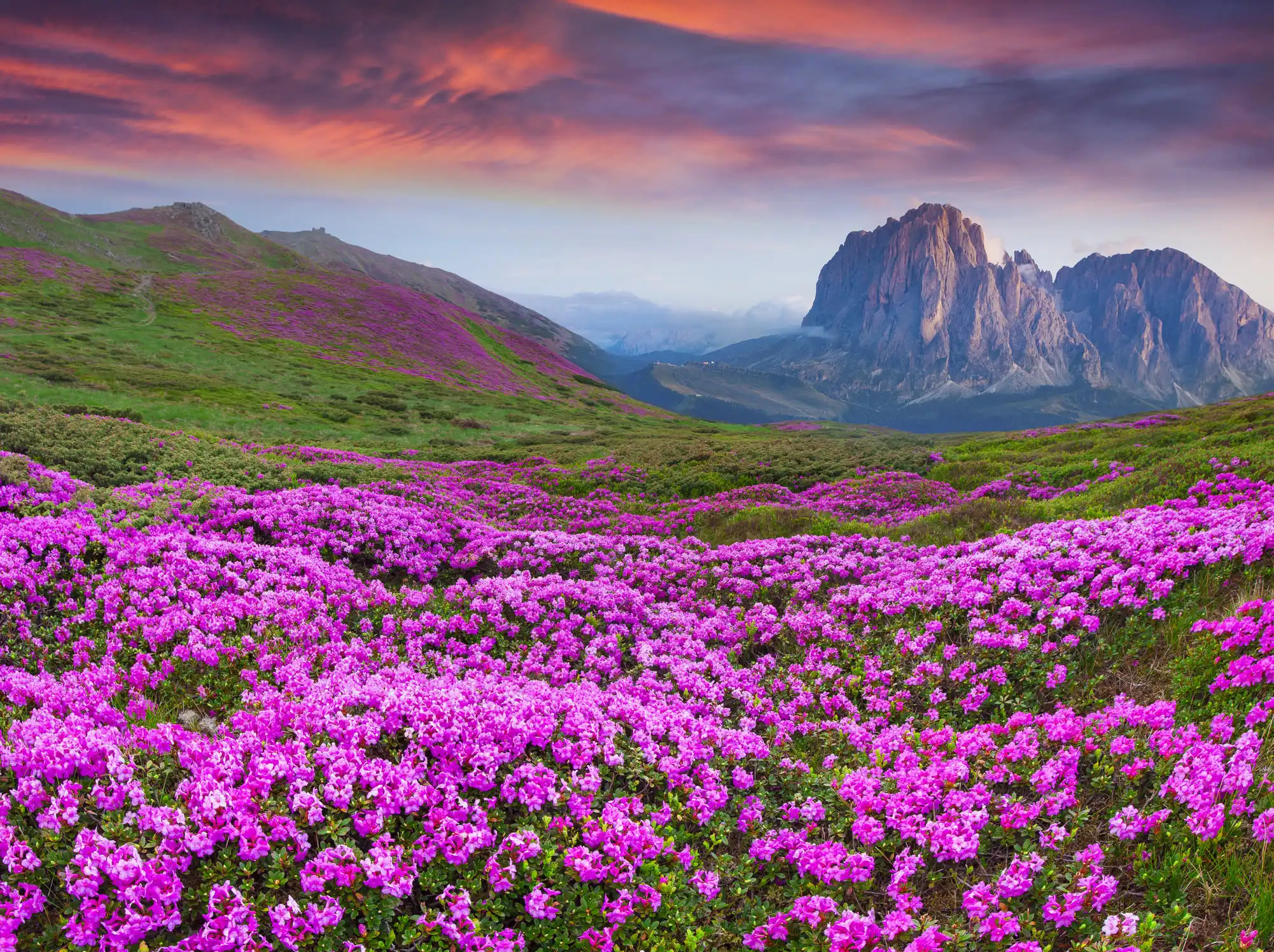 A Beginner's Guide to Aperture and Depth of Field