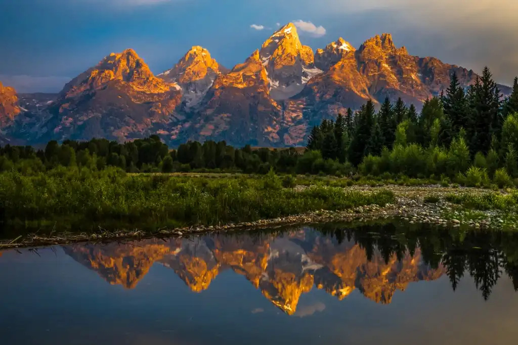 Amazing landscape store