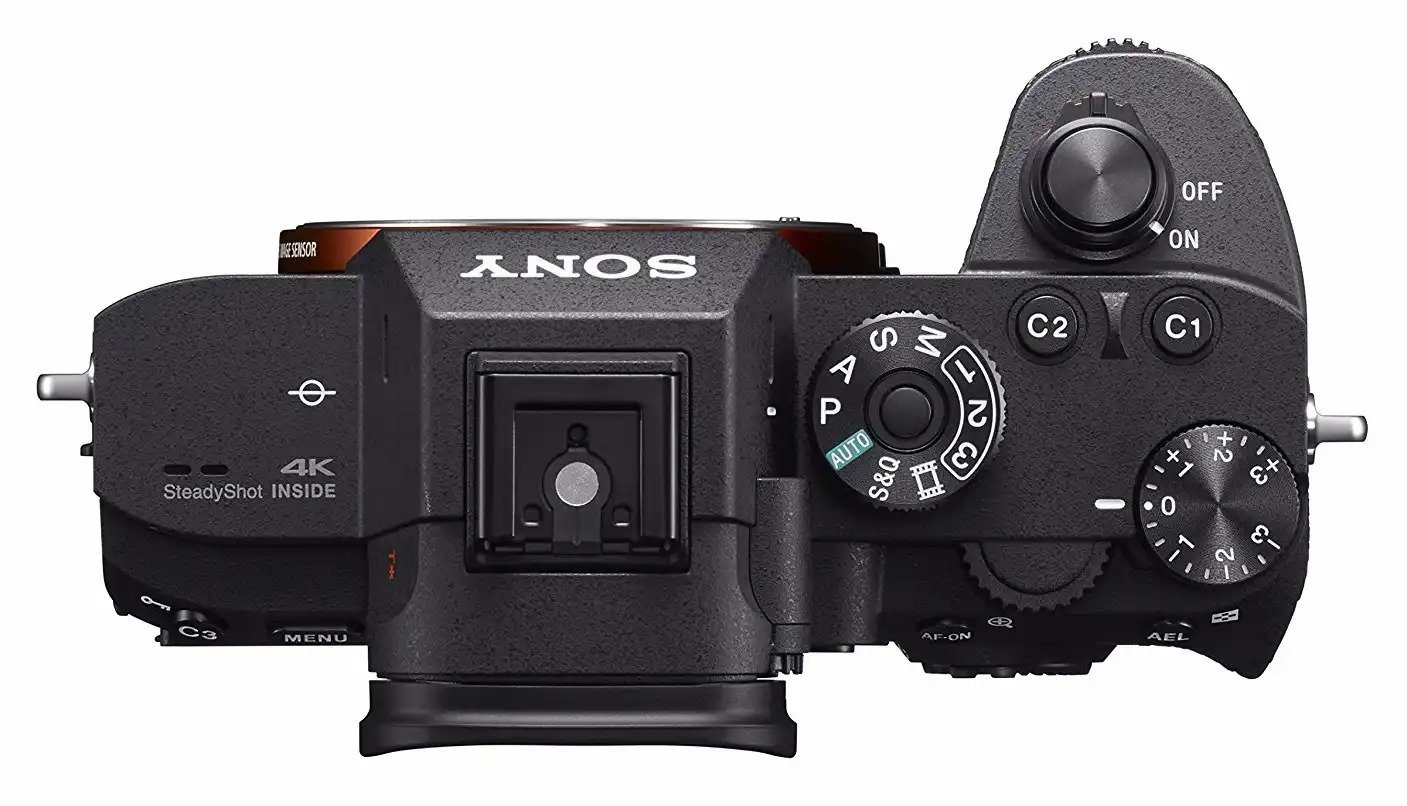 best canon zoom lenses for wildlife photography
