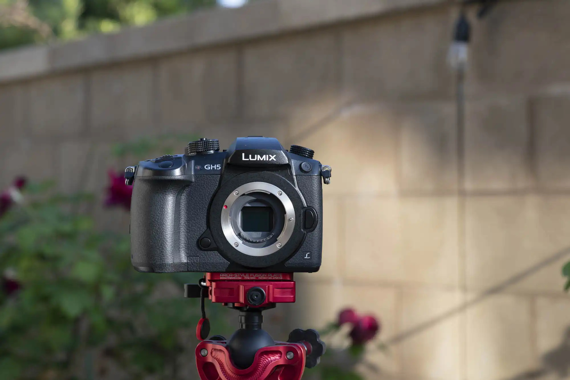 panasonic gh5 photography