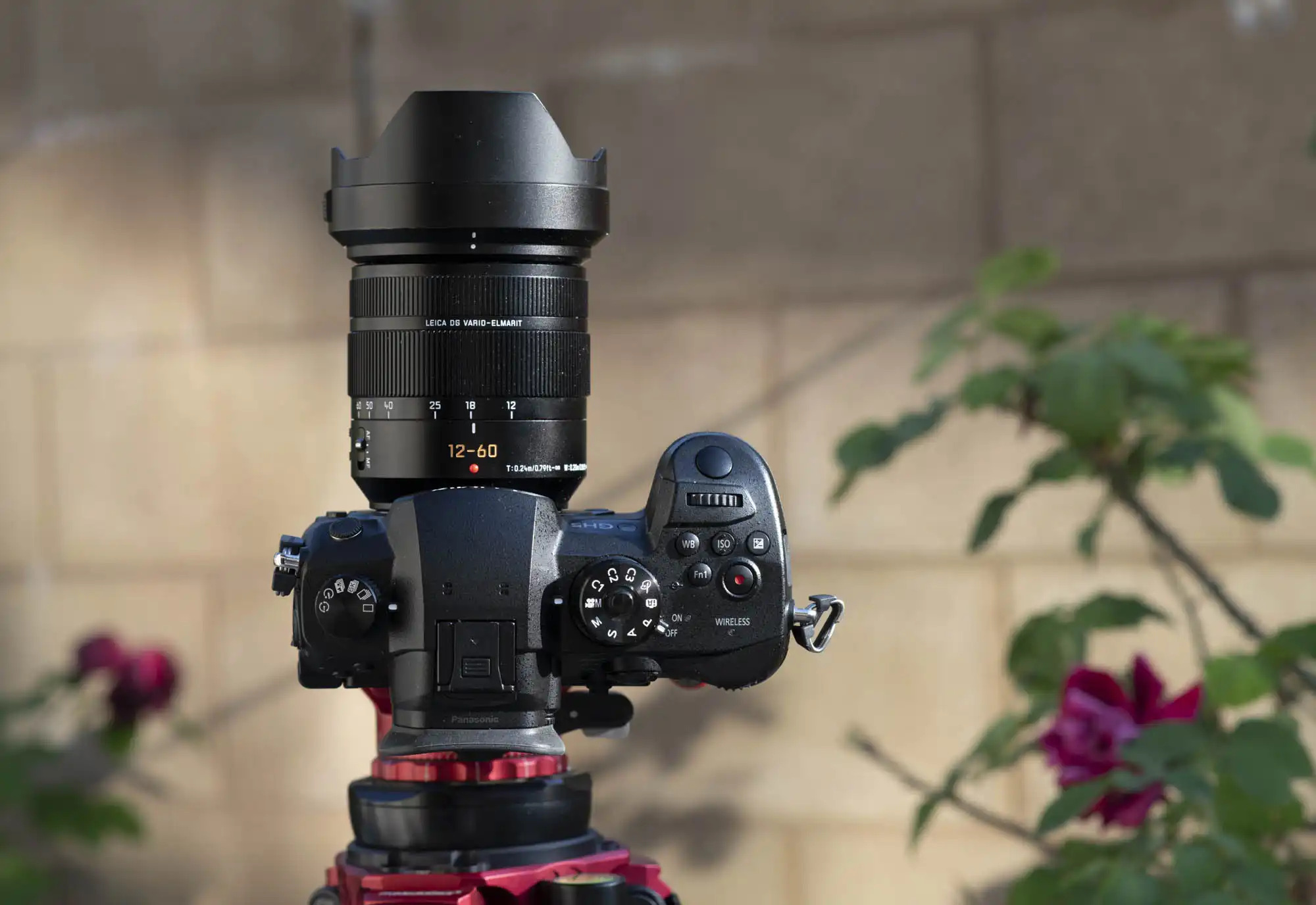 panasonic gh5 photography