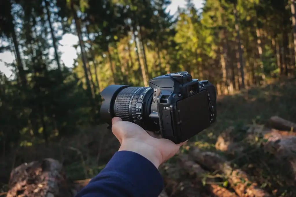 Nikon D5600 Review