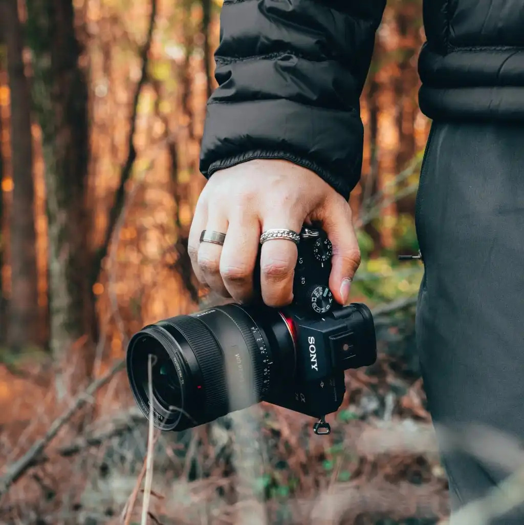 sony a6100 image quality