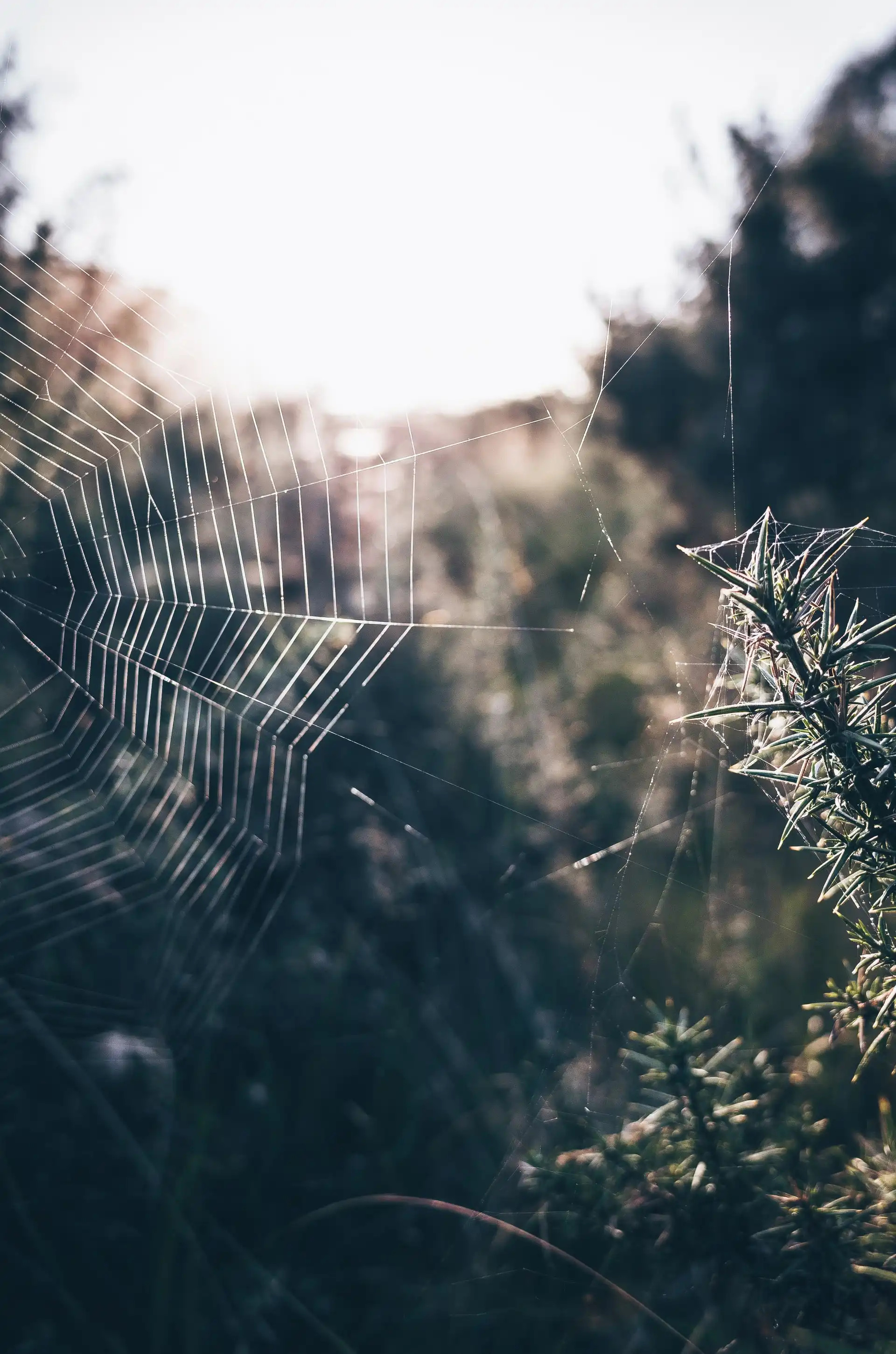 Beginner Photography Projects