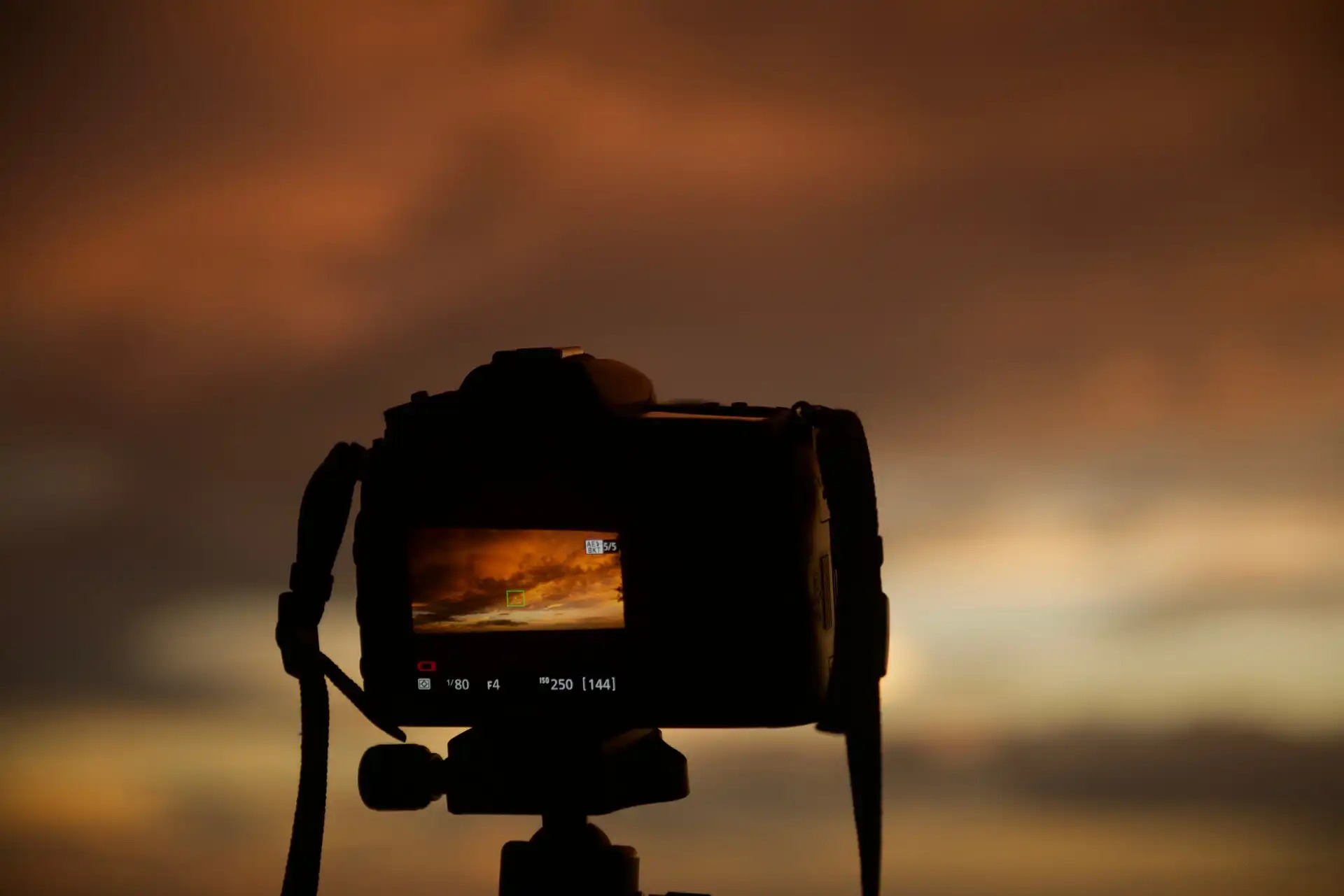 nikon d7100 mpb