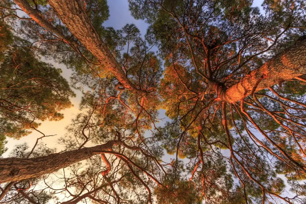 Nature Photography Tips For Beginners Infoupdate nature-photography-tips-for-beginners-infoupdate