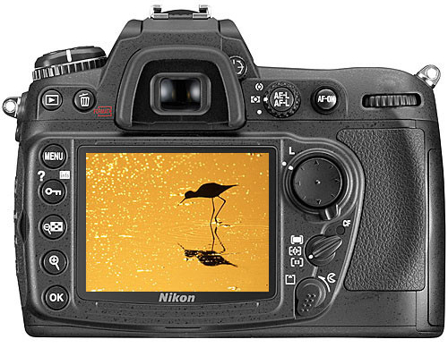 Samenwerking Afleiden bezoeker Nikon D300 Review